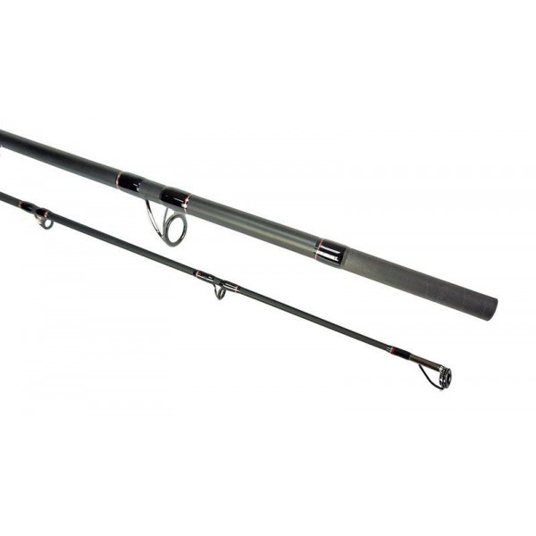 VANTAGE CATFISH